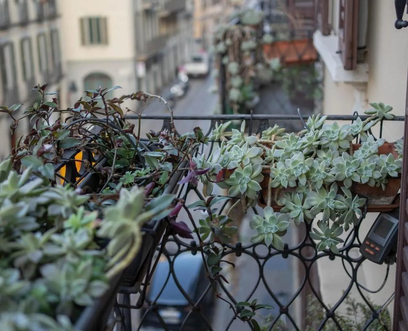 Marla Brera Apartment ميلان